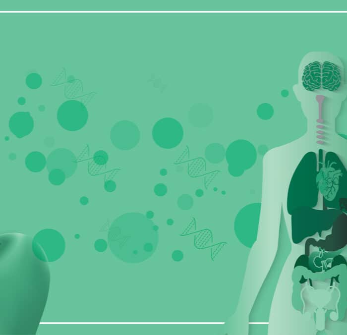 Clinical Endocannabinoid Deficiency