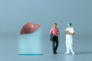 Doctor examining an anatomical model of the human liver