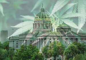 pa weed