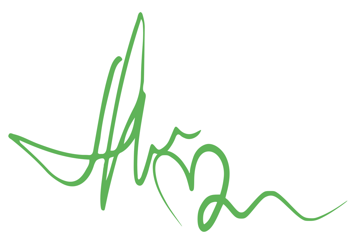 ns sig